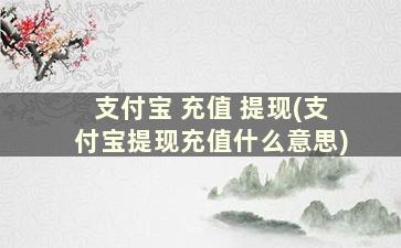 支付宝 充值 提现(支付宝提现充值什么意思)